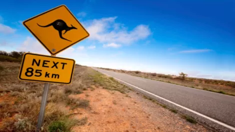 Kiwis look across the Tasman to attract IT talent