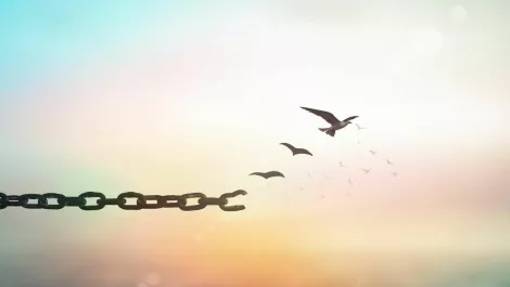 White iPhone 4 ready to ship