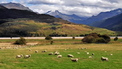 Rural New Zealand gets a taste of satellite broadband