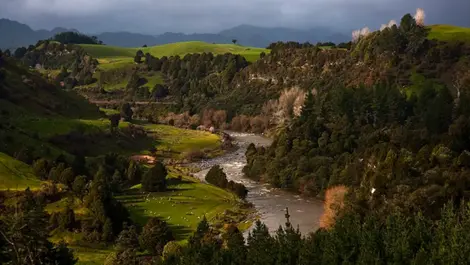Sparking a successful safety programme