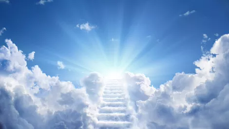 Exploring the different needs for cloud services across Europe