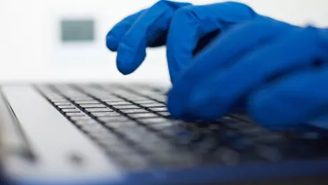 Password hygiene in New Zealand: Statistics, standing and standpoints